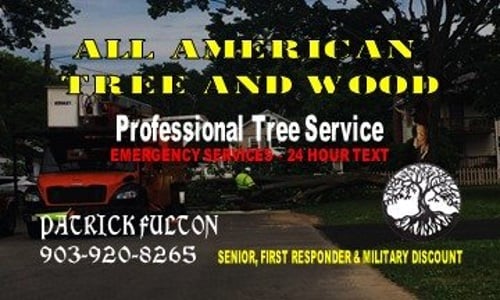 Avatar for All American Tree And Firewood